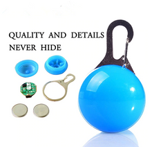 Load image into Gallery viewer, 1pcs Pet Collar Pendant LED dog collar Night light pendant security luminous pendant Collar pet supplies dog accessories
