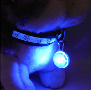 1pcs Pet Collar Pendant LED dog collar Night light pendant security luminous pendant Collar pet supplies dog accessories